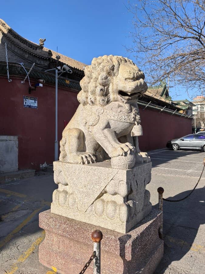 Winter Ginkgo Spectacle