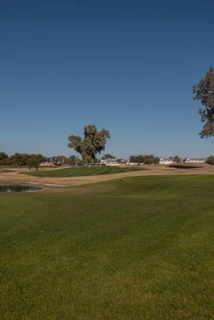 Social Birdie Dining