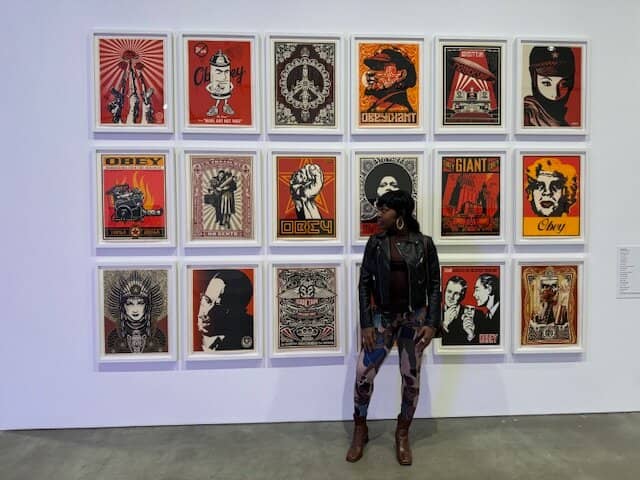 Emerging Artist Showcases