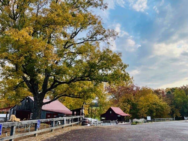 Delicious Local Fare