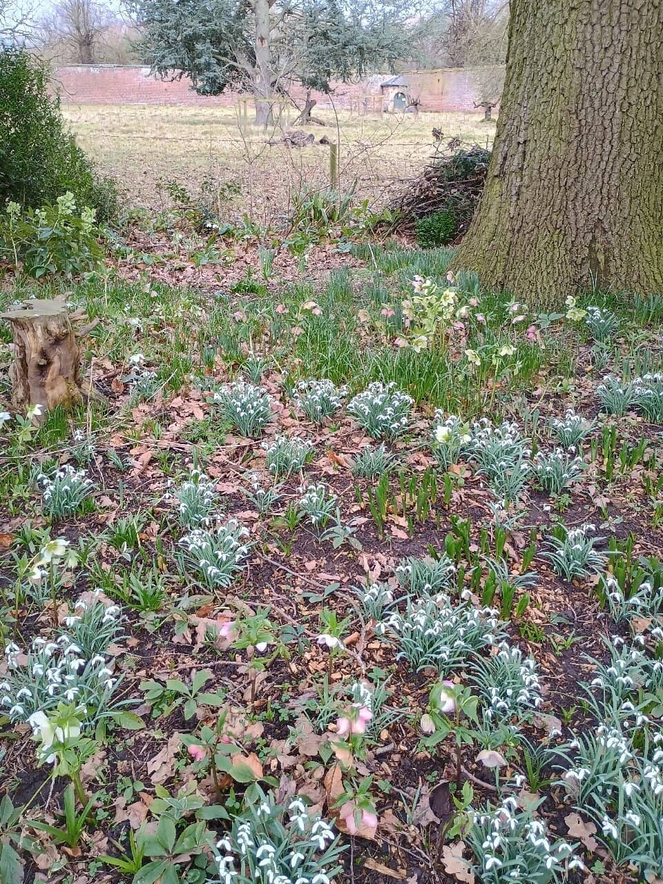 Historic Hall Architecture
