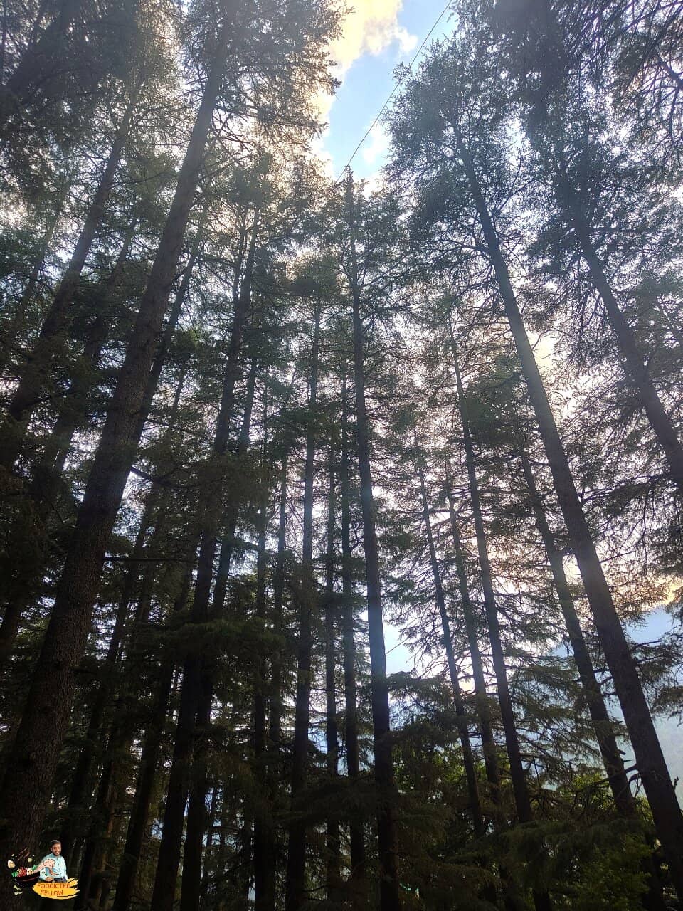 Vertical photo