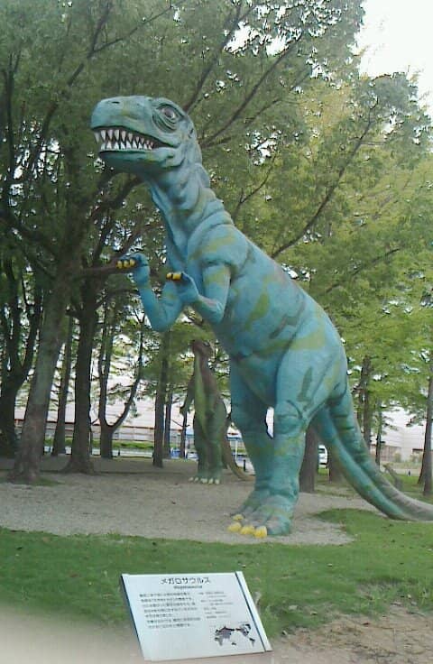 Amusement Park Rides