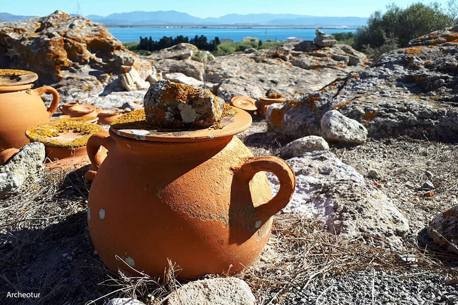 Panoramic Hilltop Views