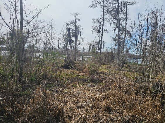 Outdoor Mini Theatre