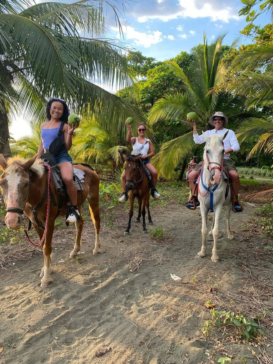 Lush Rainforest Trails