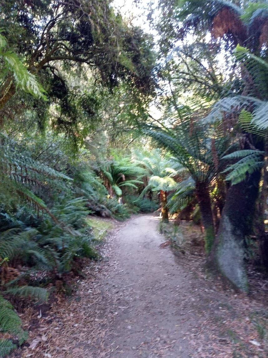 Riverside Walking Trail