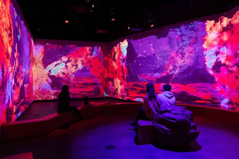 Immersive Dome Shows