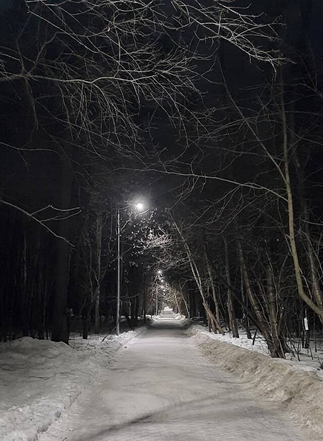 Vertical photo
