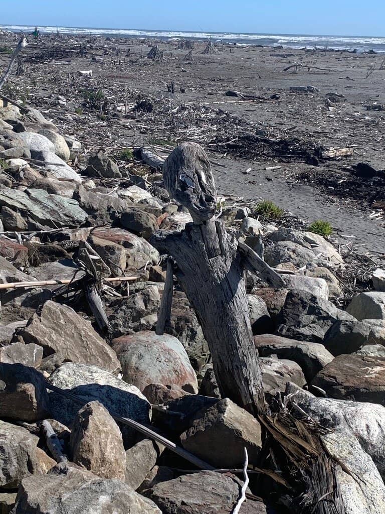 The Iconic 'HOKITIKA' Driftwood Sign