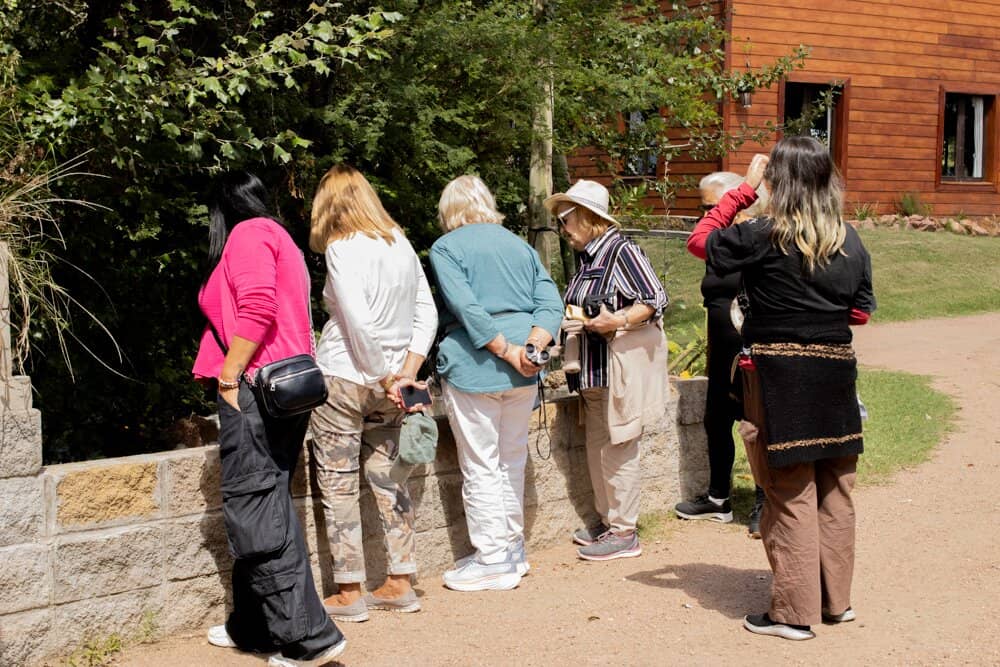 Birdwatching Opportunities