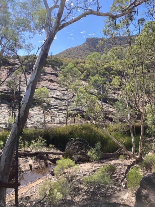 Scenic Flight Over the Pound