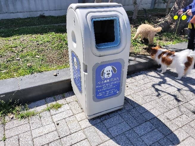 Regional Snack Haven