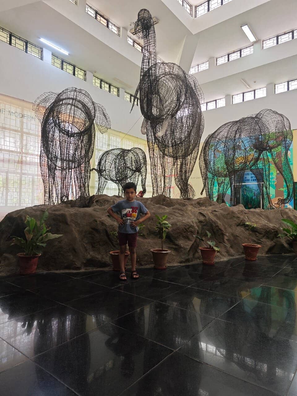 Discovery Center Skeletons