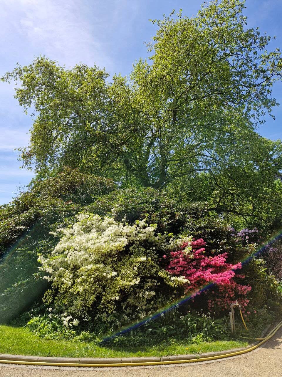 Peaceful Ponds & Waterfalls