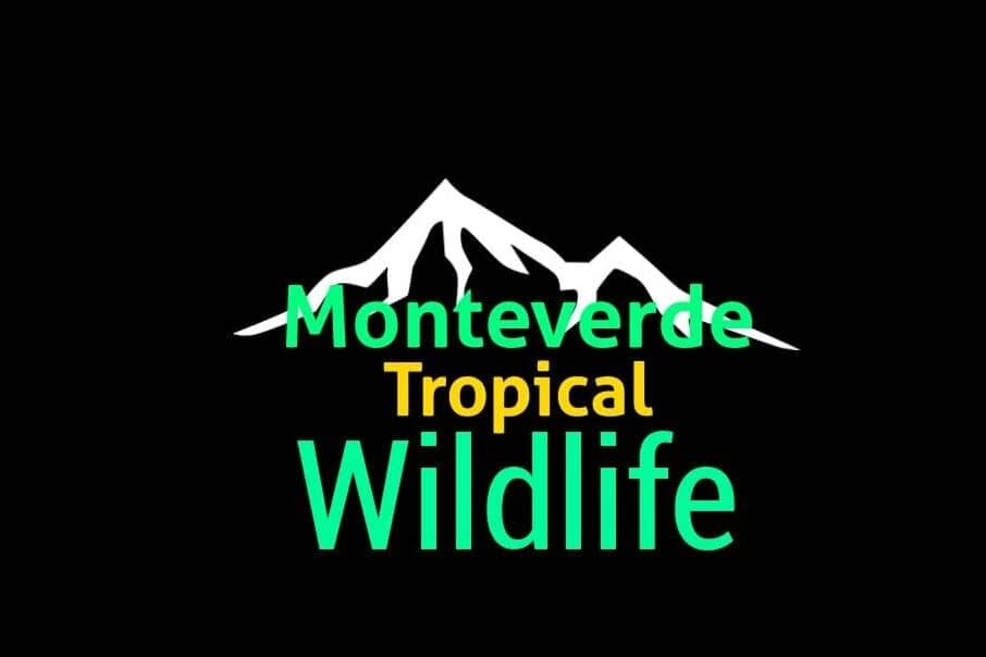 Nocturnal Wildlife Tours