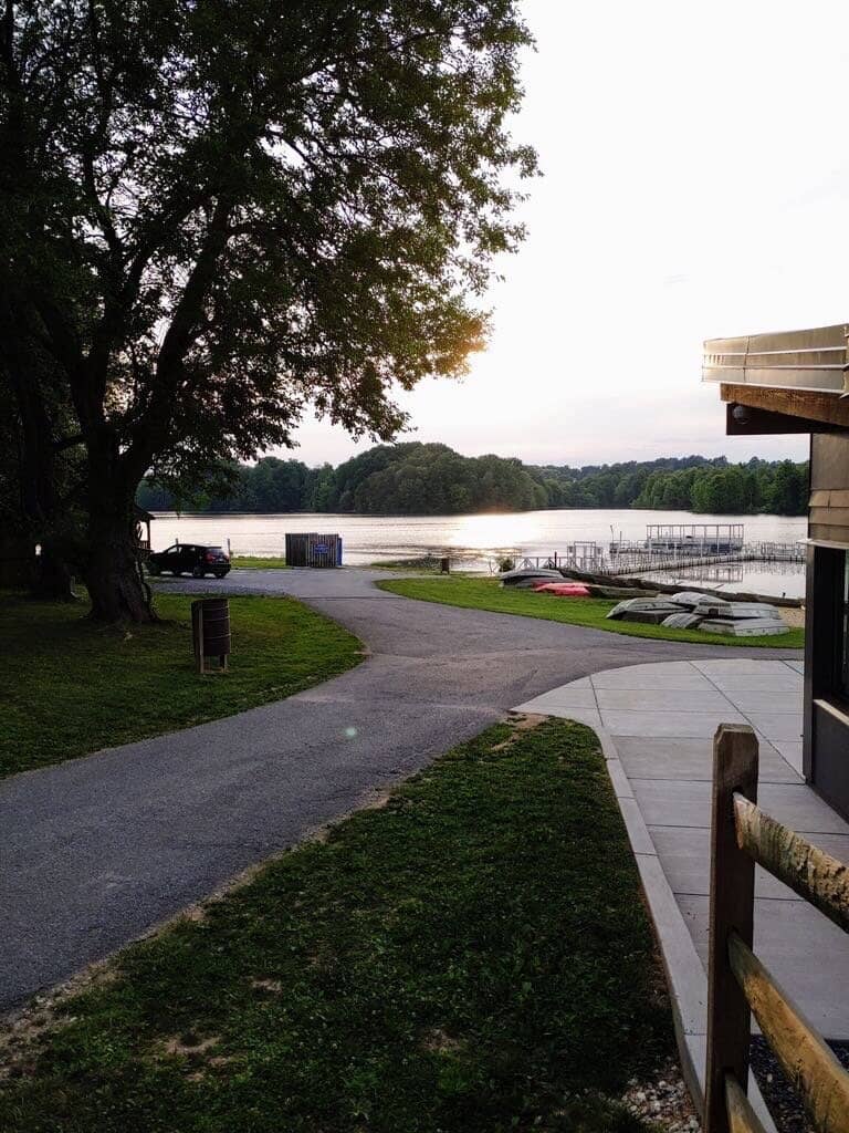 Alpine Rollercoaster
