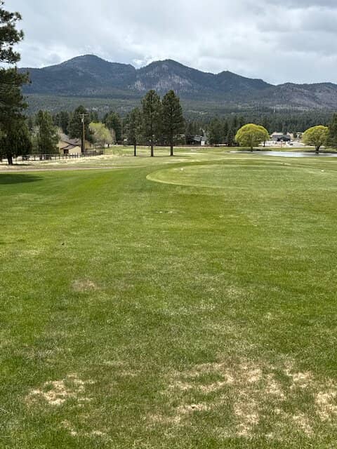 The Iconic Elephant Rocks