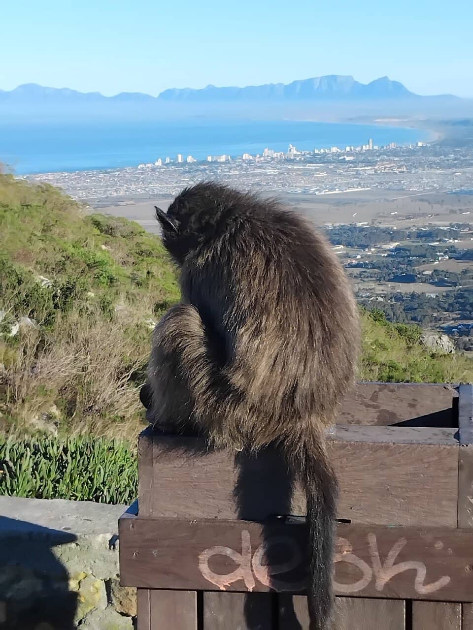 Helderberg Mountain Range