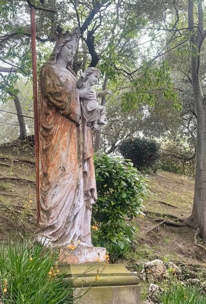 Panoramic City Views