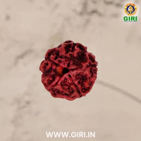 Playful Temple Elephant