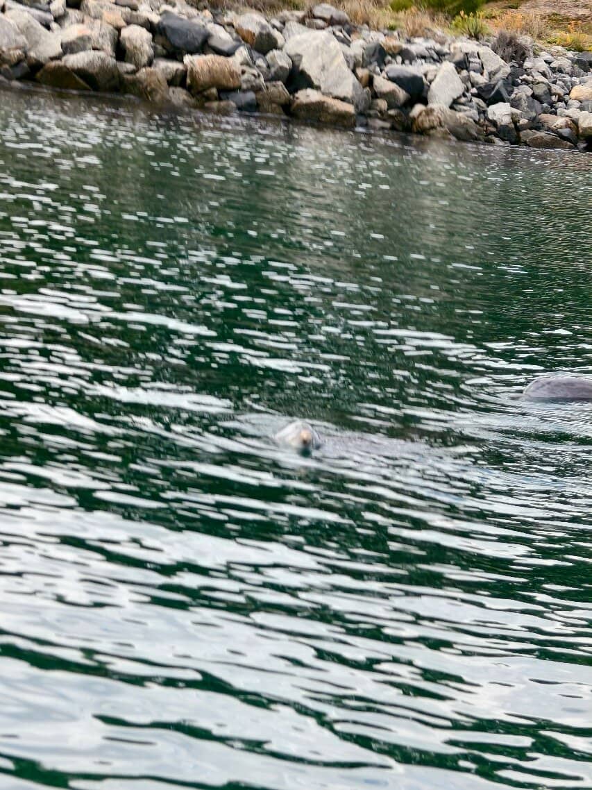 Koombana Bay Foreshore