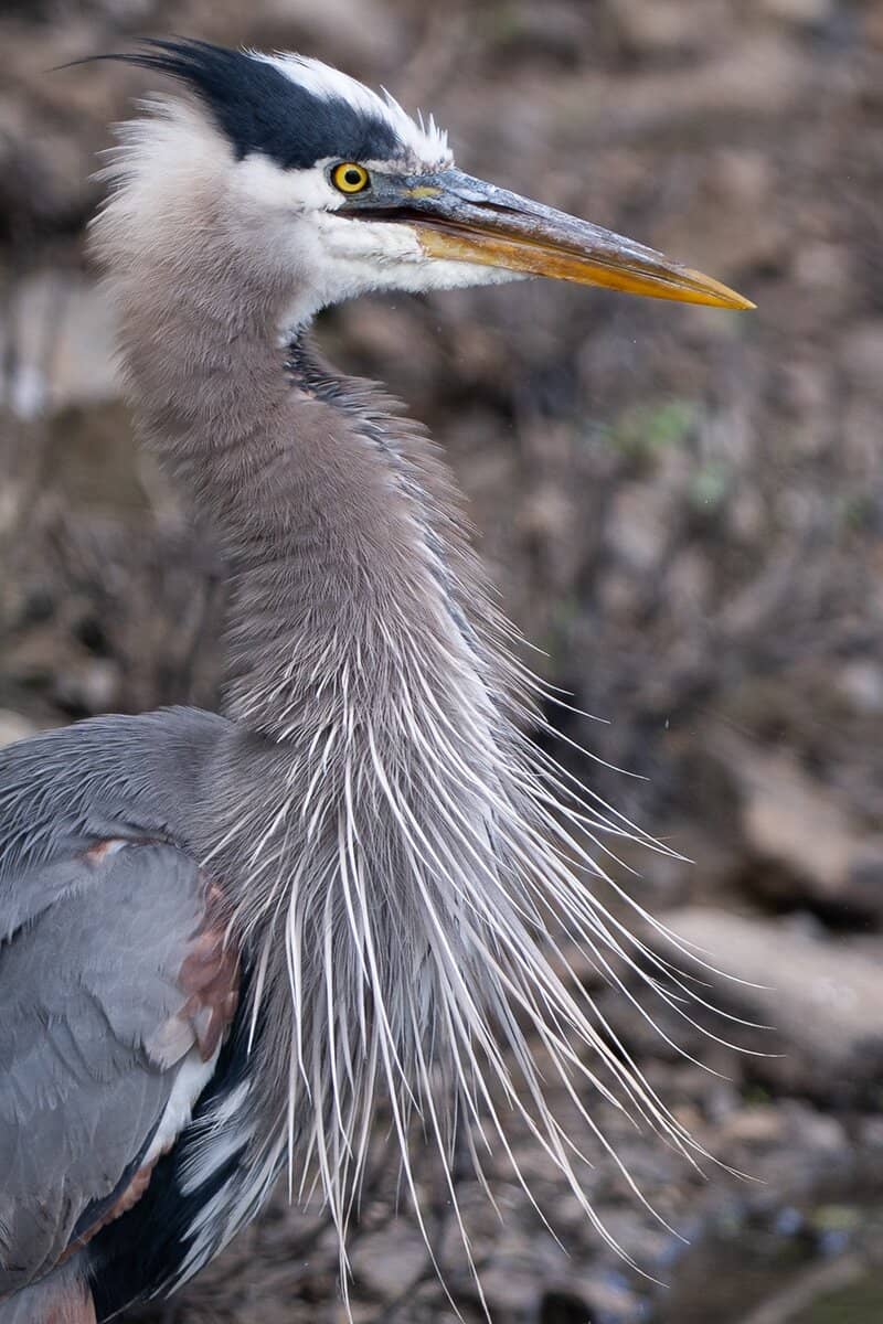 Visitor Center & Restrooms