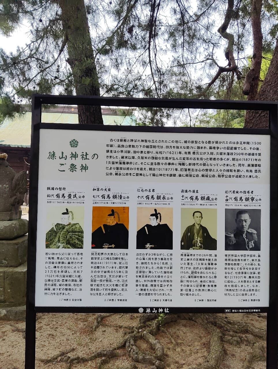 Cherry Blossom Spectacle