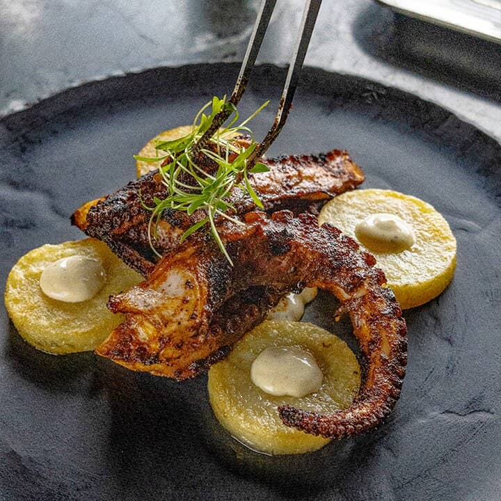 Vibrant and Refined Ambiance