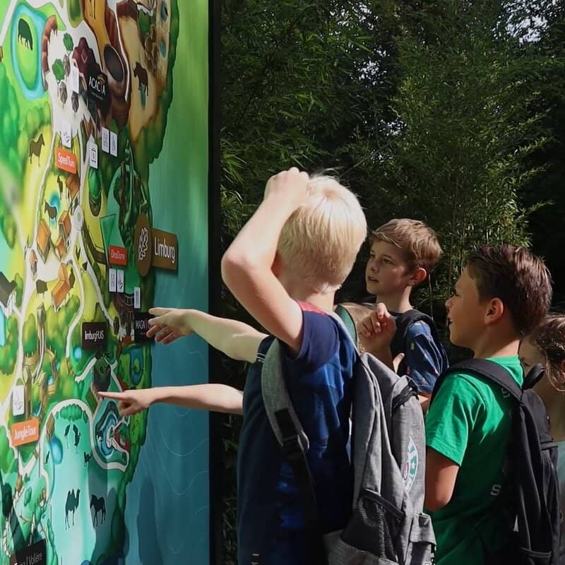 Rainforest and Taiga Zones