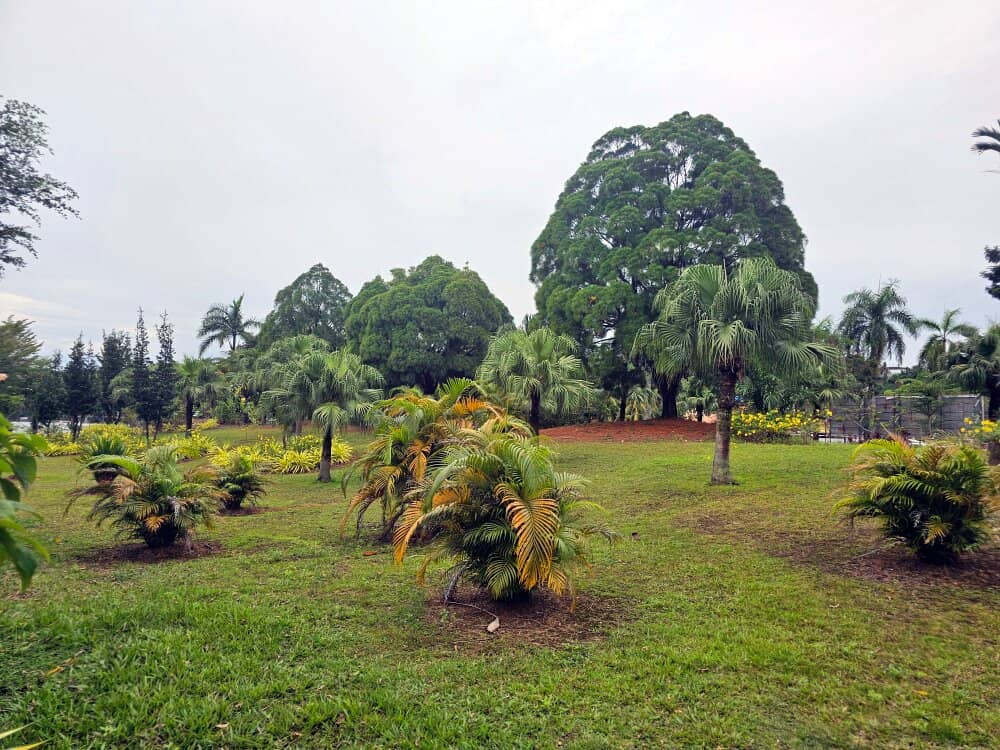 Spacious Prayer Halls