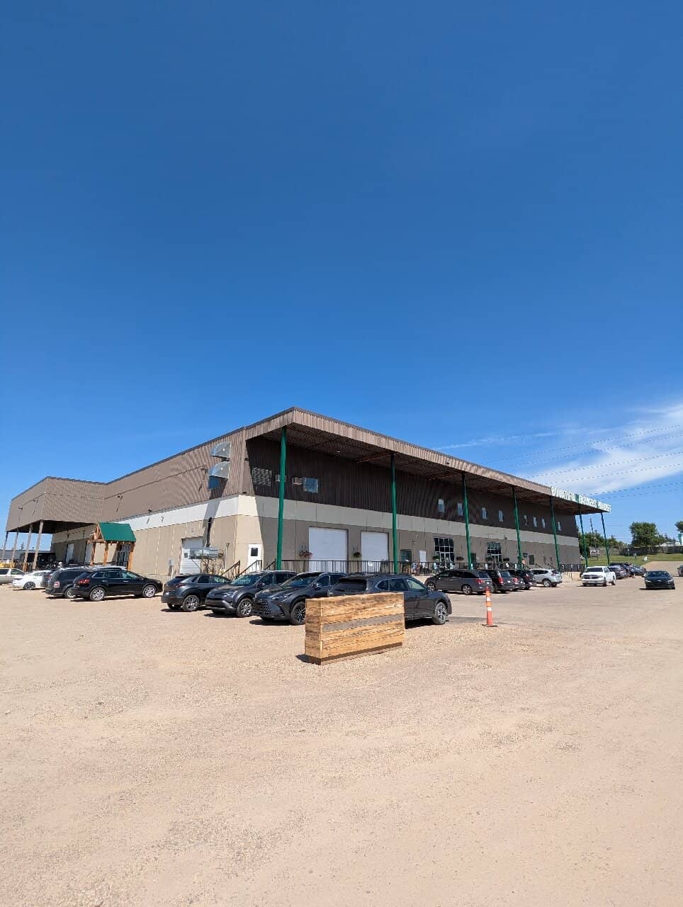 The Happy Camel Dips