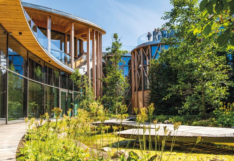 Interactive Story Worlds