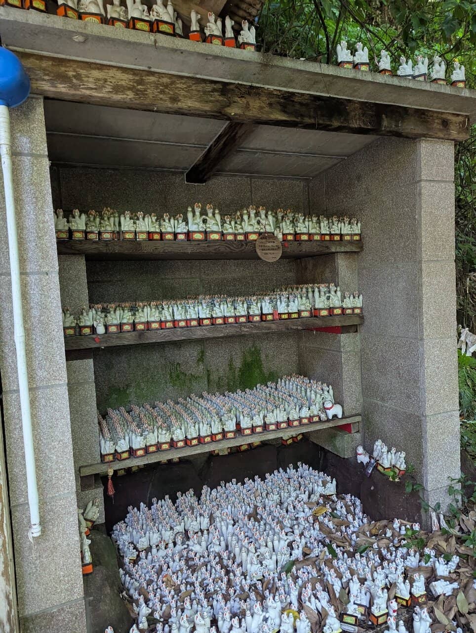 Miniature Torii Gate Path