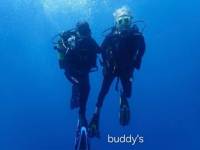 Barracuda School Encounter