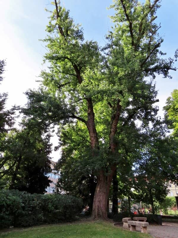 Children's Playground