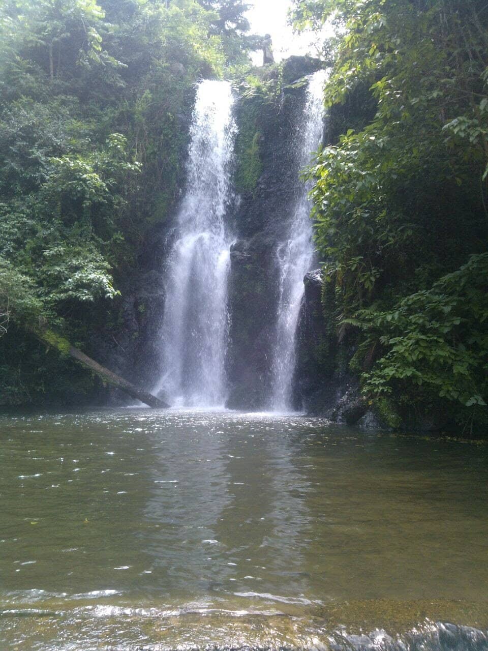 Village Life Immersion