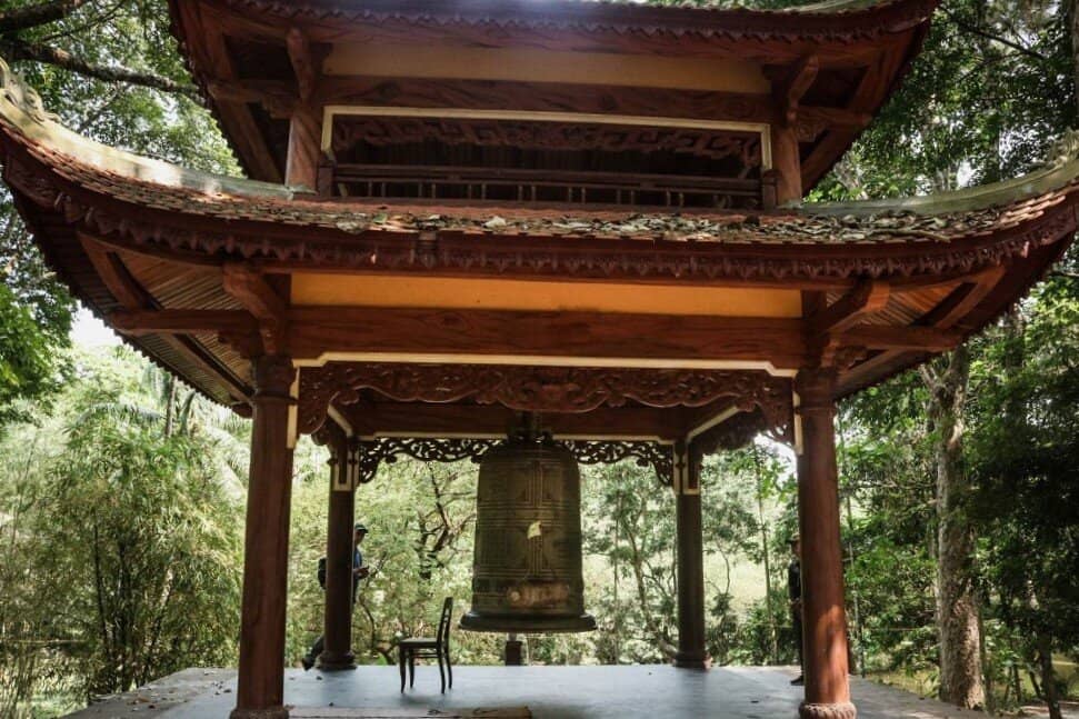 The Ancient Bodhi Tree