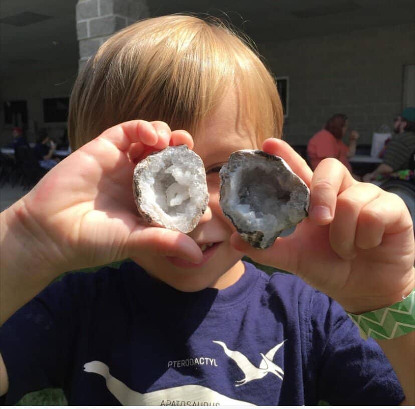 Dinosaur & Fossil Gallery