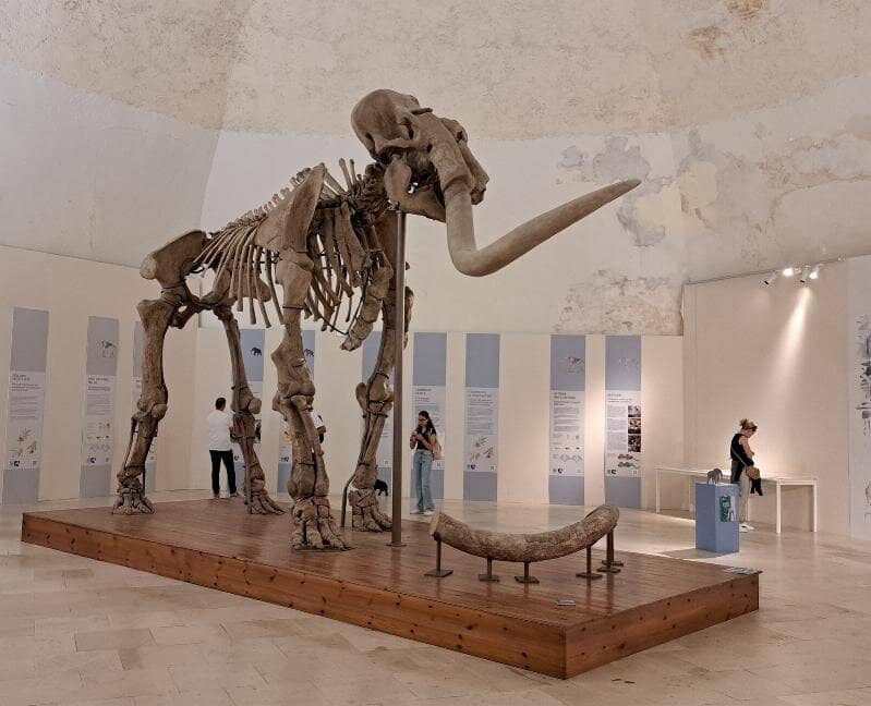 Surrounding Park and Views