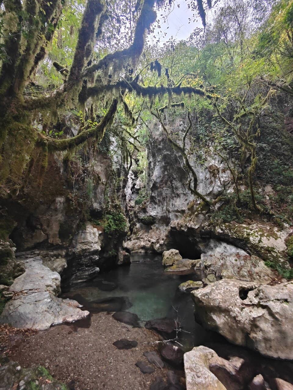 Pristine Nature Trail