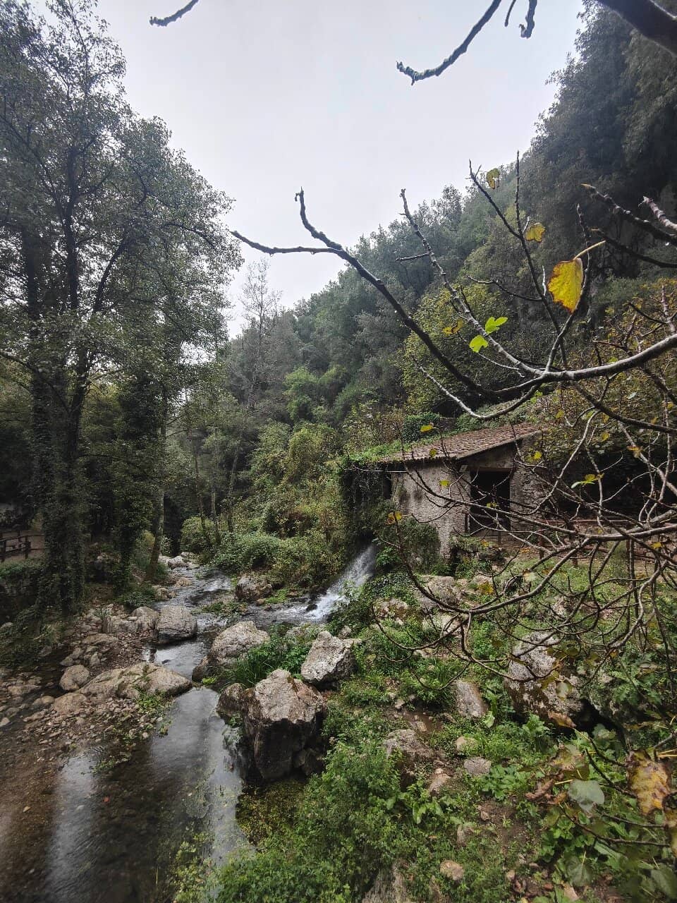 Vertical photo