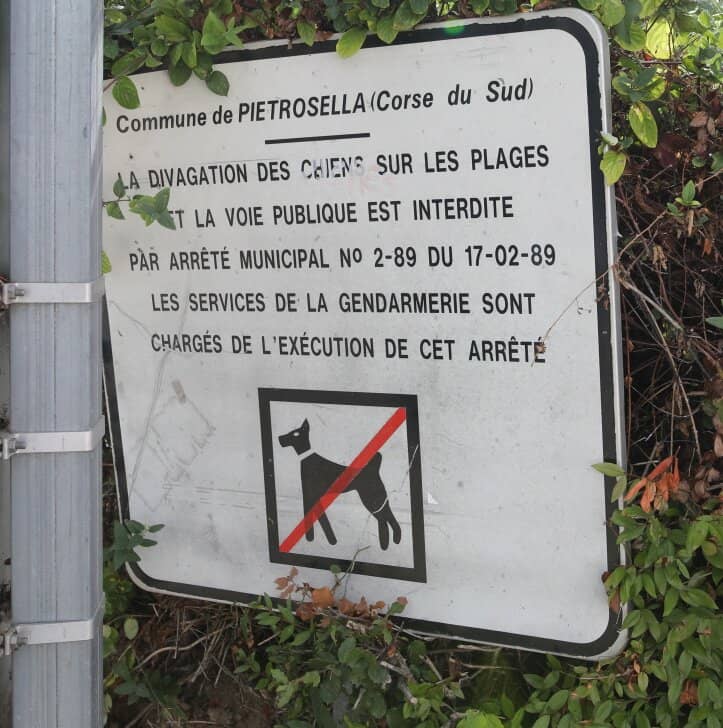 Intimate & Quiet Beach Vibe