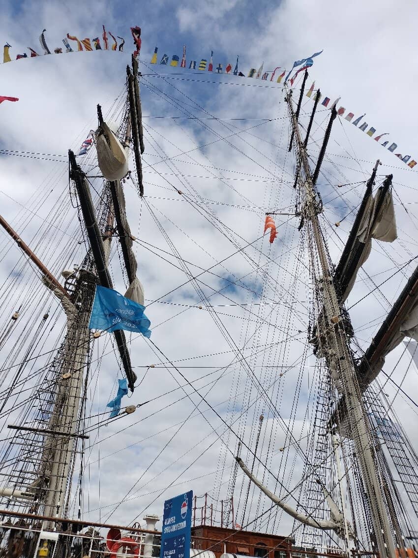 Seal Rehabilitation Stories