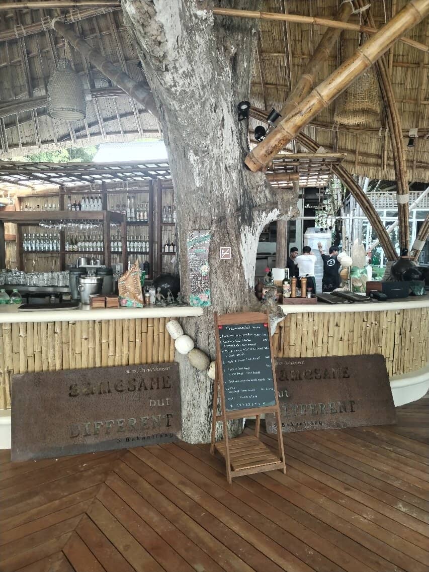 Flavorful Thai Fusion