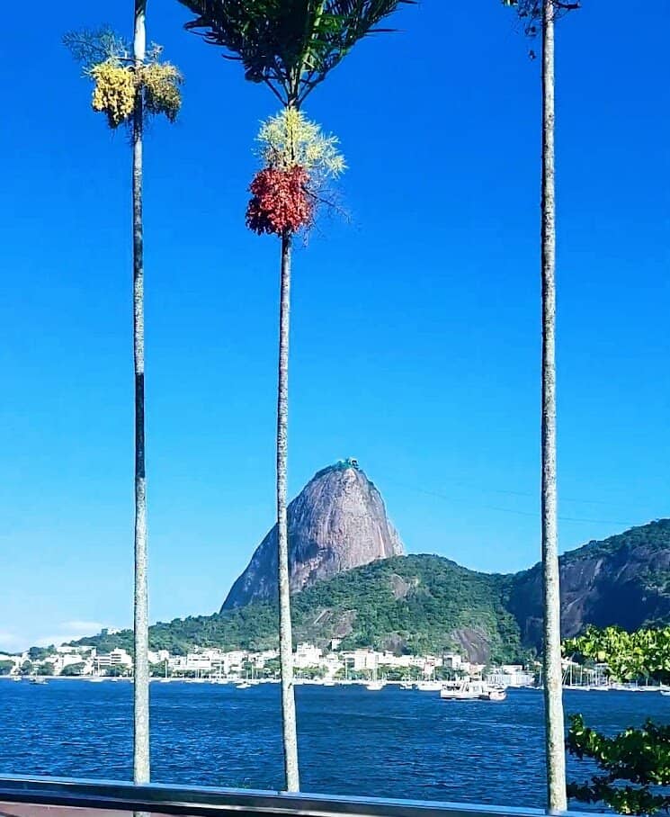 Proximity to Mutirama