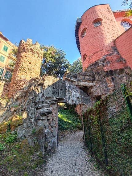 Exotic Plant Collection