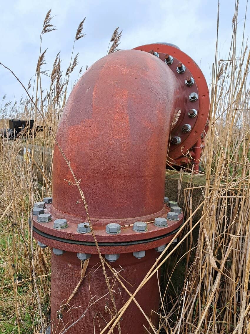 Shaded Dog Walking Trails