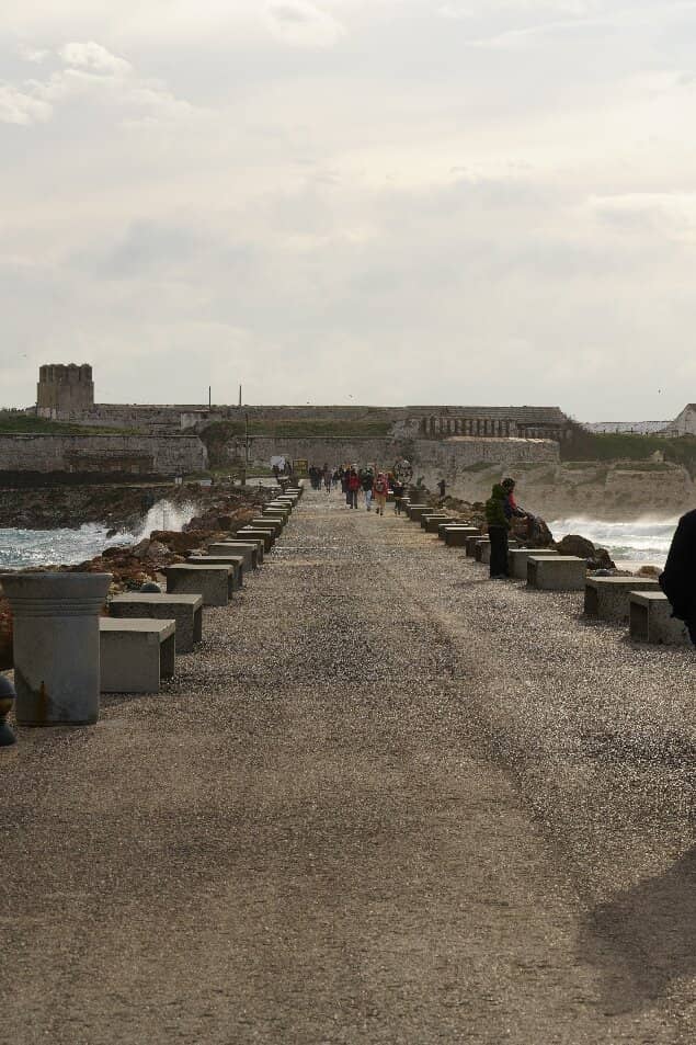 Seagull Nature Reserve