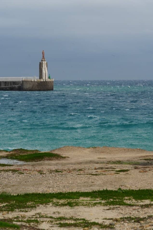 Winter Snowfall Spectacle